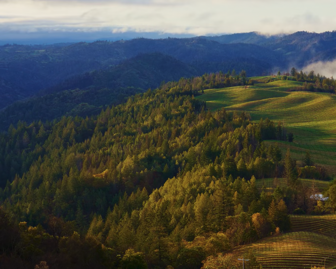 Ekotelogi; Manusia, Alam, dan Tuhan